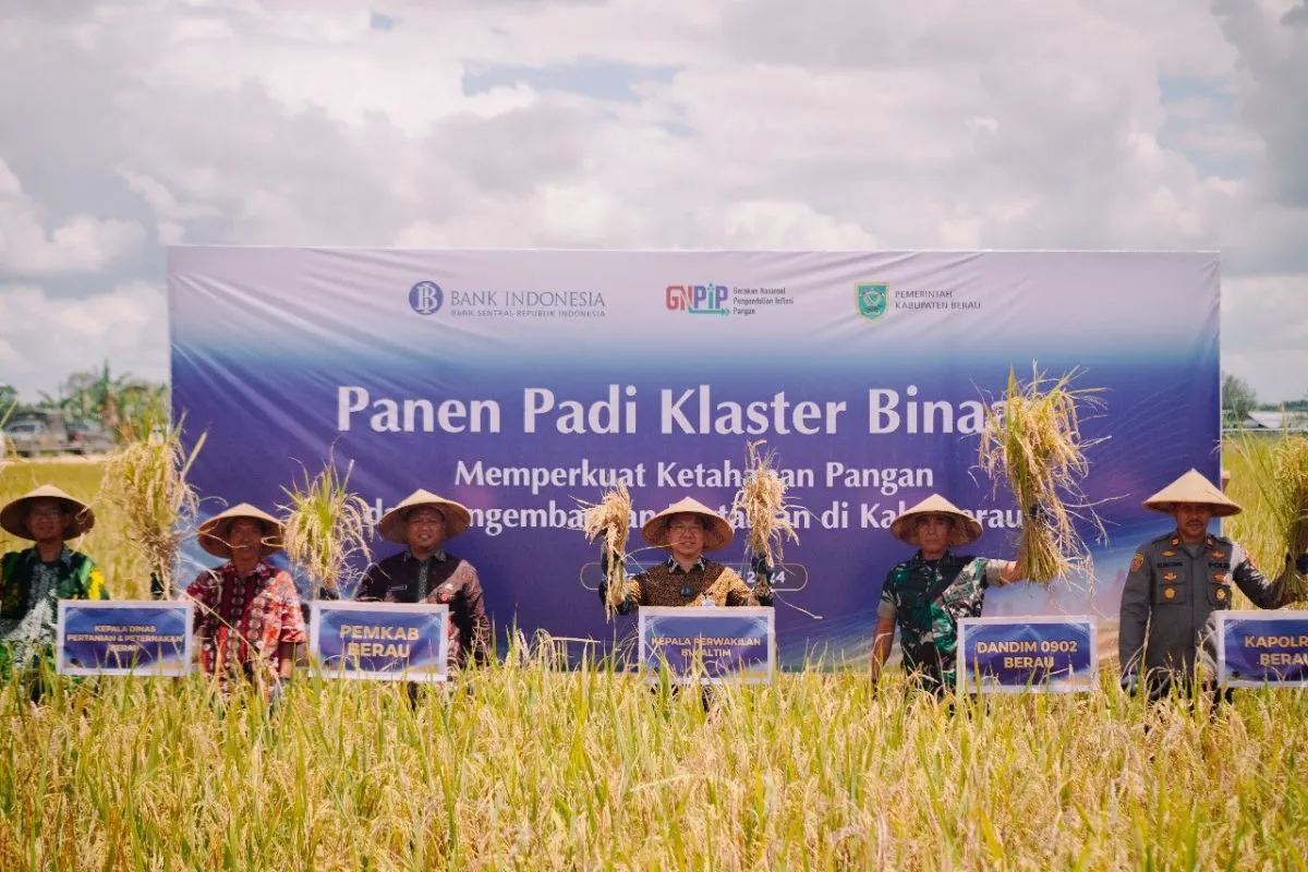 Kepala BI Kaltim Budi Widihartanto (keempat dari kiri) bersama pihak terkait melakukan panen bersama di Kabupaten Berau. ANTARA/HO Humas BI Kaltim
