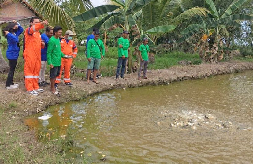 Pemkab PPU Dorong Budidaya Ikan, Siapkan Ketahanan Pangan Jelang IKN media satu kaltim